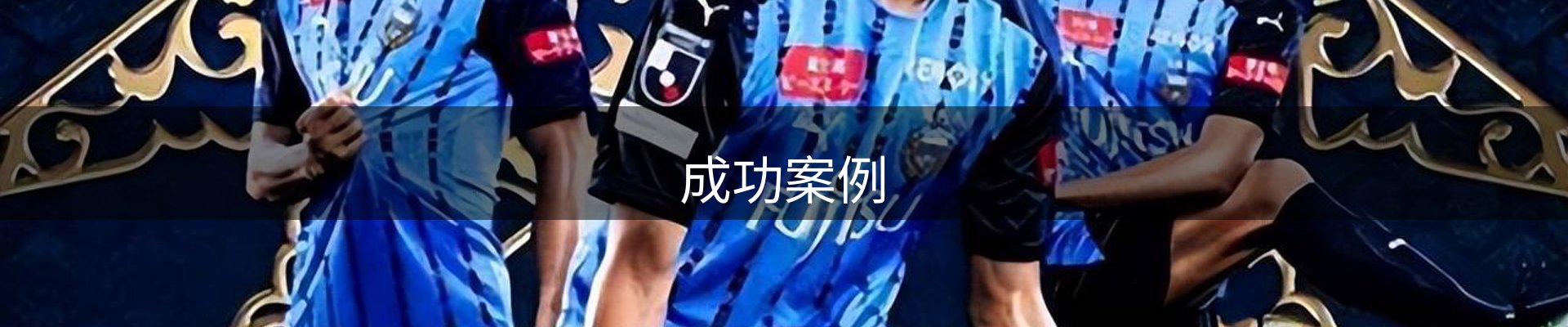 成功案例